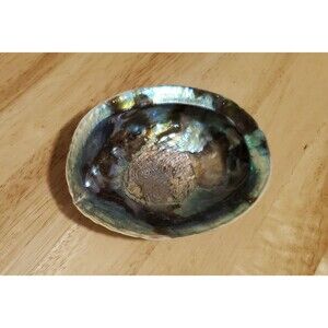 Colorful Abalone Shell 5” Iridescent Teal Natural Flash Smudge Spellcasting Bowl